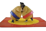 costume-sumo