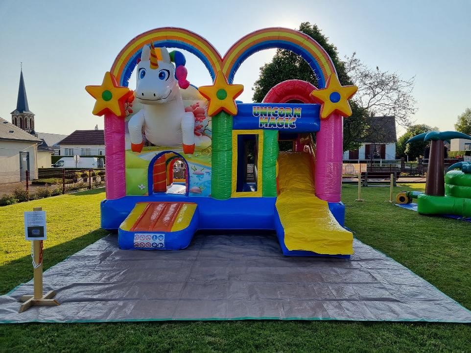 multi activites licorne